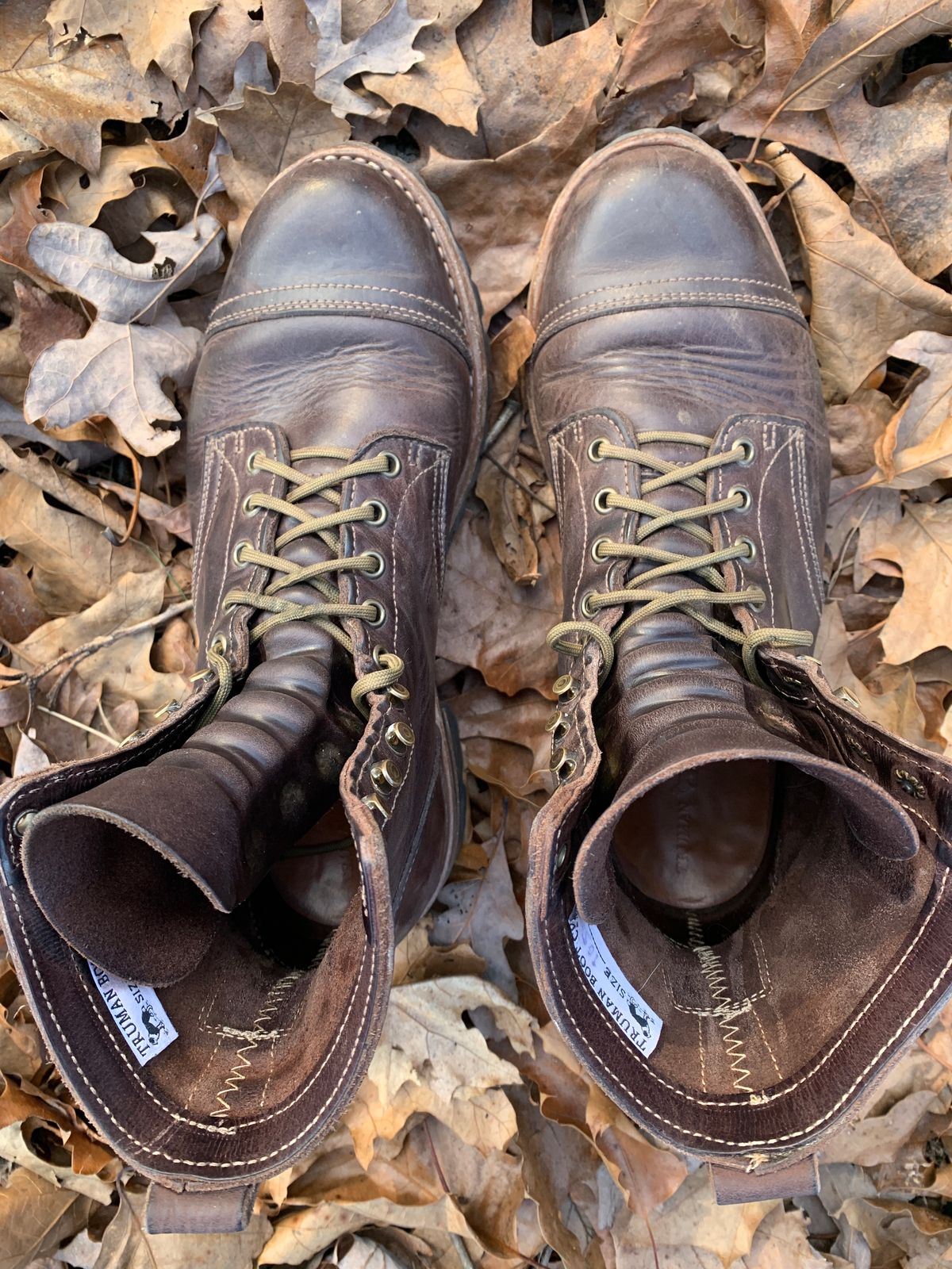 Photo by tinytopey on February 2, 2023 of the Truman Upland Boot in Horween Java Predator.