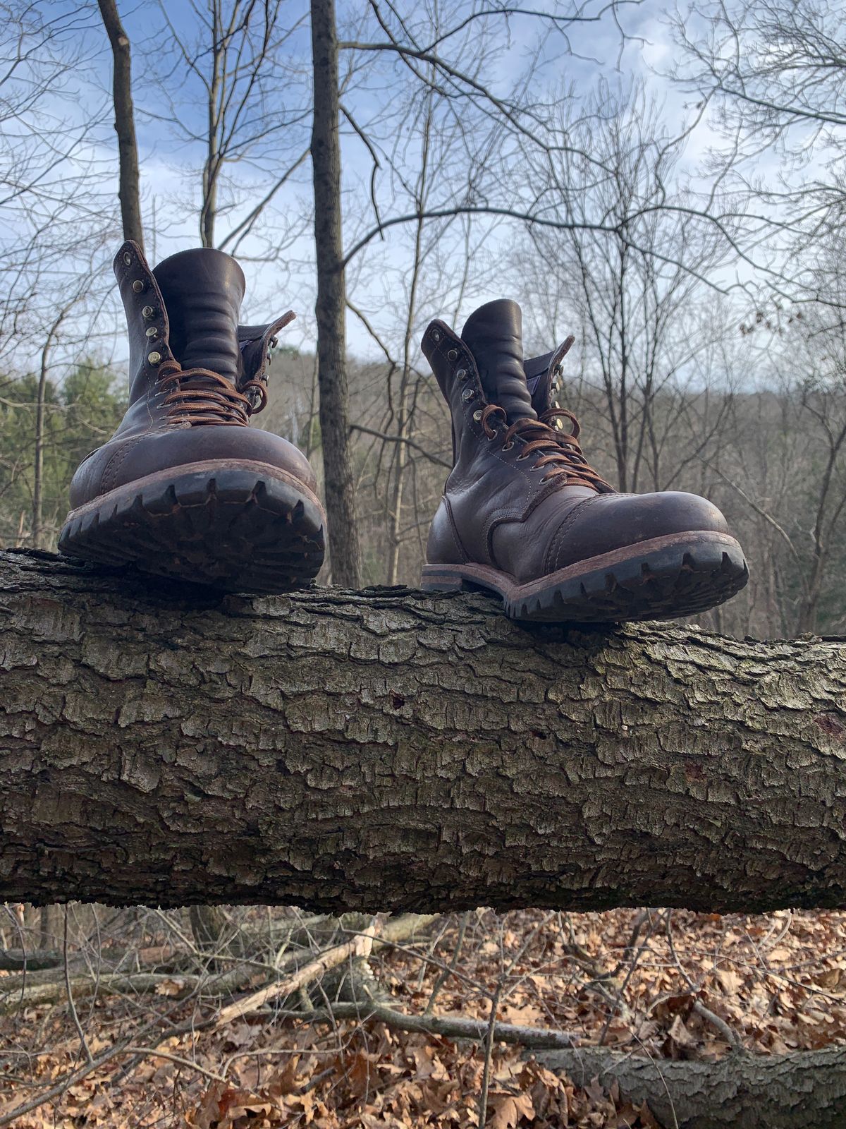 Photo by tinytopey on March 2, 2023 of the Truman Upland Boot in Horween Java Predator.