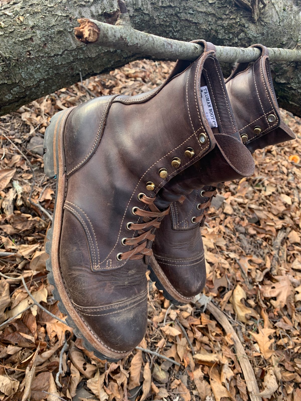 Photo by tinytopey on March 2, 2023 of the Truman Upland Boot in Horween Java Predator.