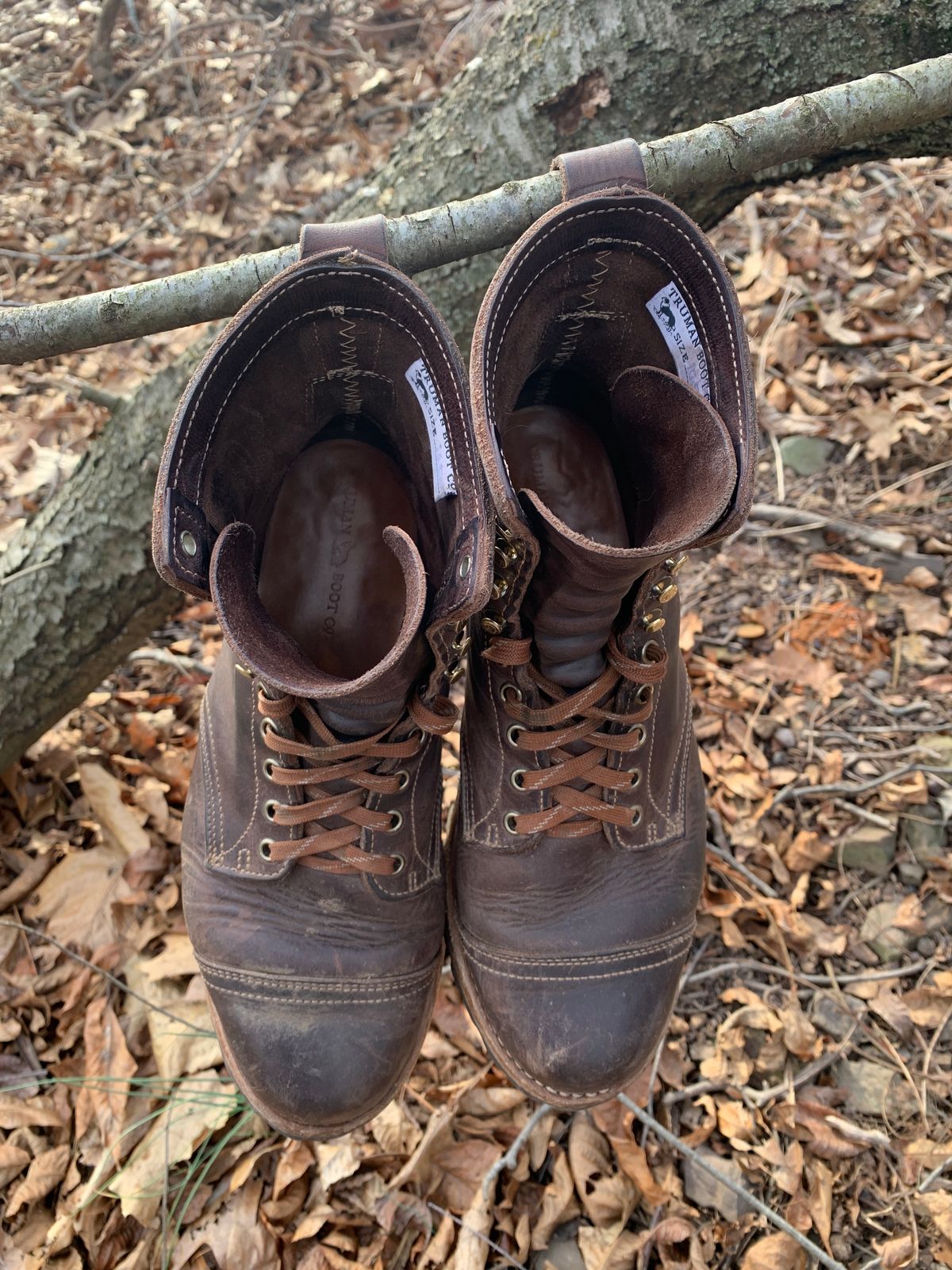 Photo by tinytopey on March 2, 2023 of the Truman Upland Boot in Horween Java Predator.