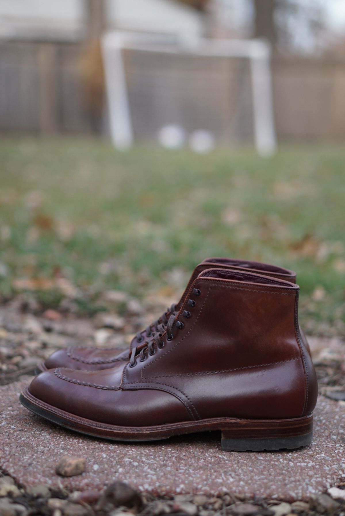 Photo by heavyE on December 3, 2022 of the Alden Indy Boot in Horween Color 4 Shell Cordovan.