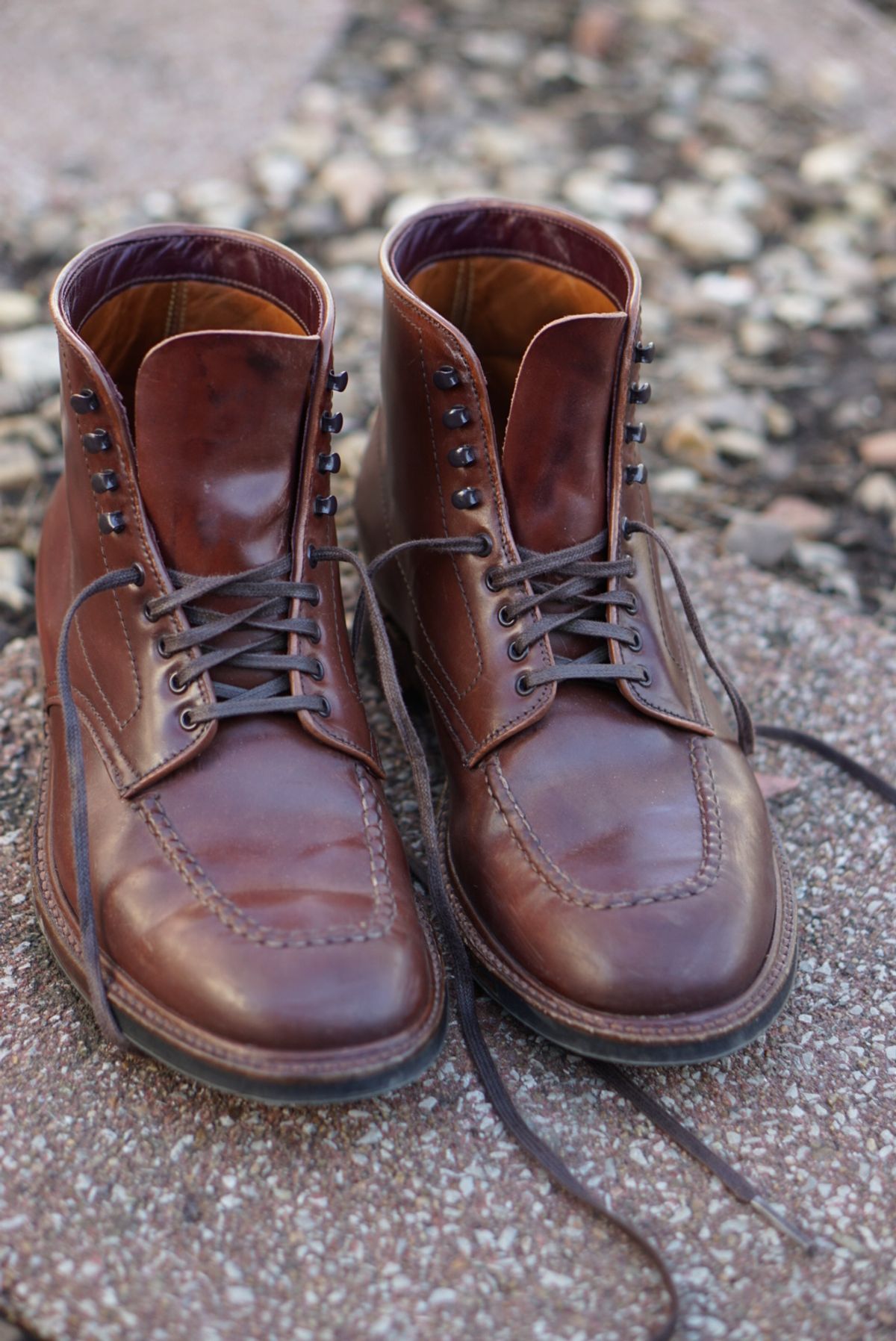 Photo by heavyE on February 5, 2023 of the Alden Indy Boot in Horween Color 4 Shell Cordovan.