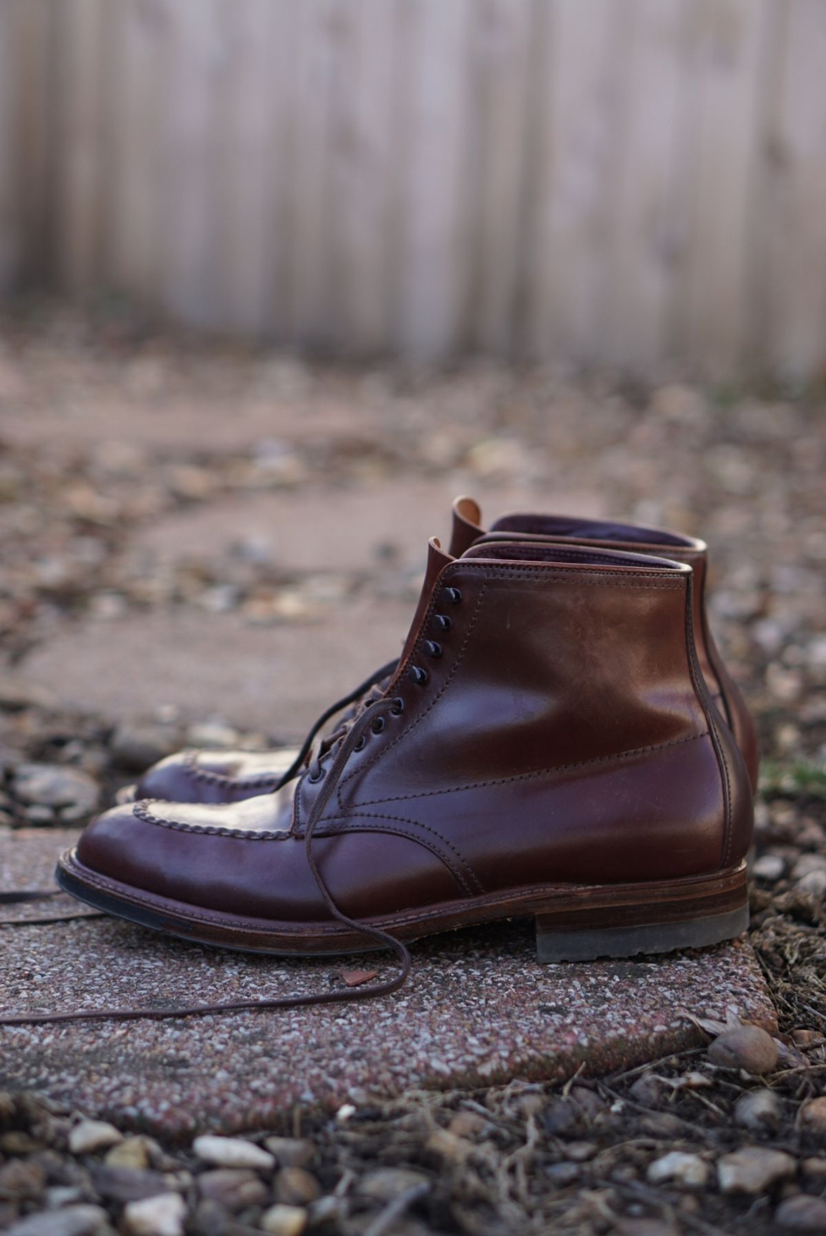 Photo by heavyE on February 5, 2023 of the Alden Indy Boot in Horween Color 4 Shell Cordovan.