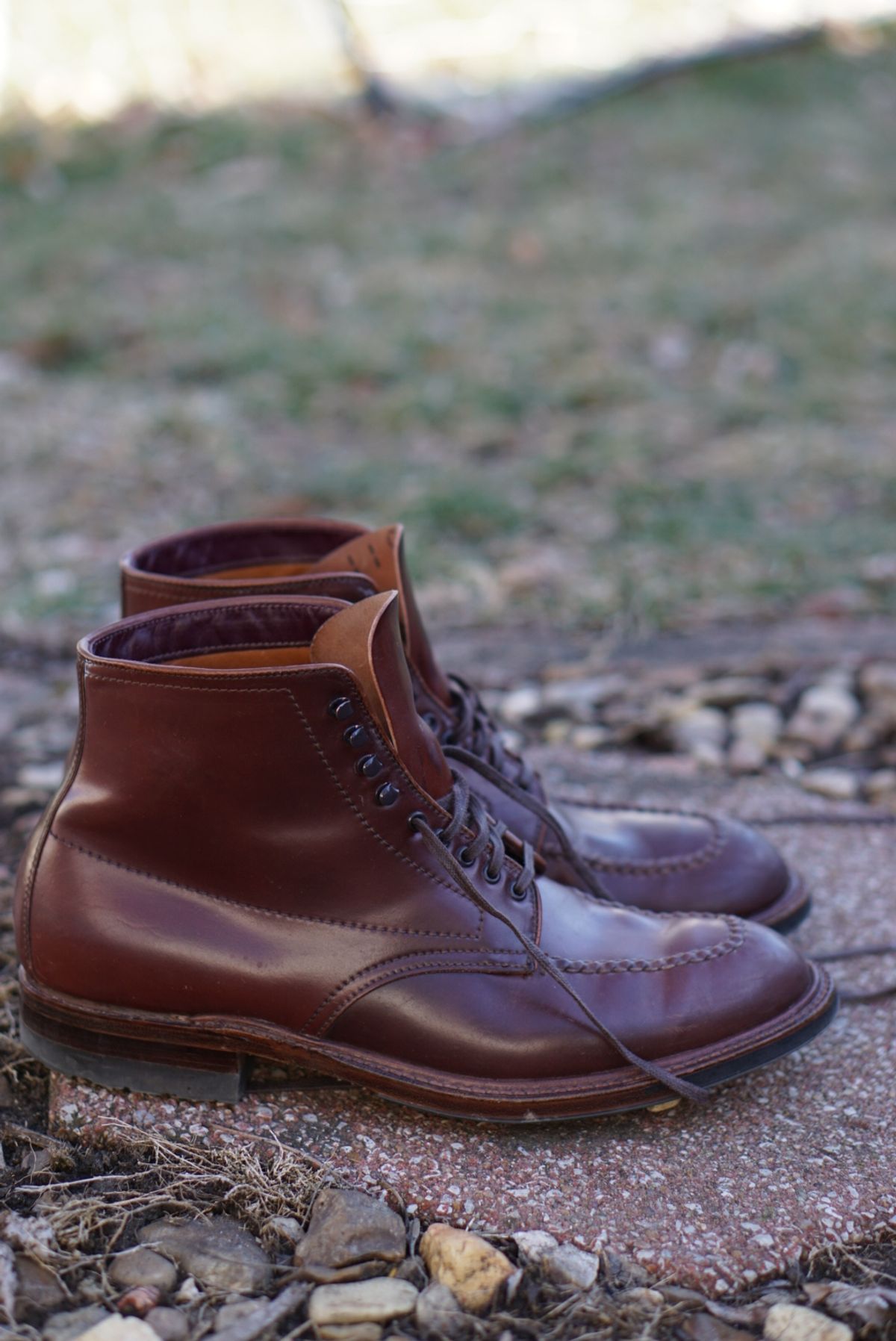Photo by heavyE on February 5, 2023 of the Alden Indy Boot in Horween Color 4 Shell Cordovan.