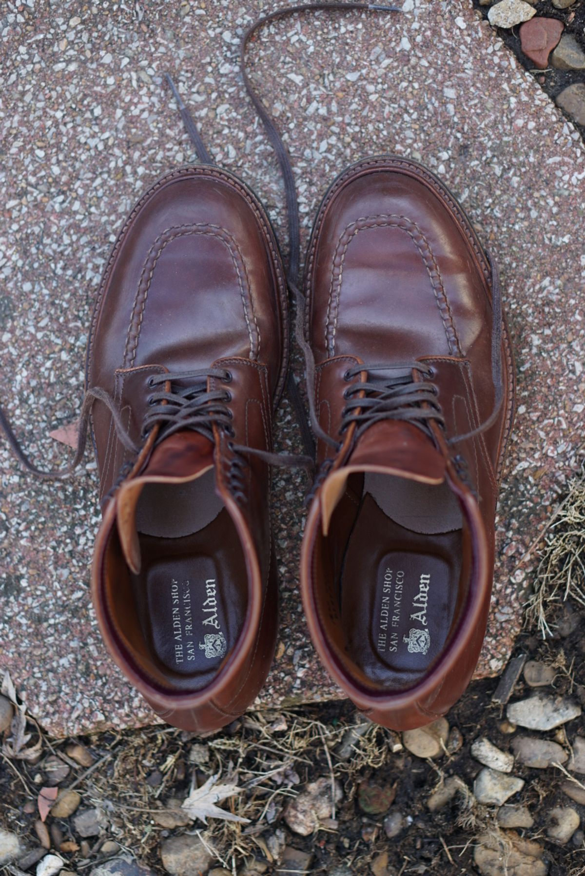 Photo by heavyE on February 5, 2023 of the Alden Indy Boot in Horween Color 4 Shell Cordovan.