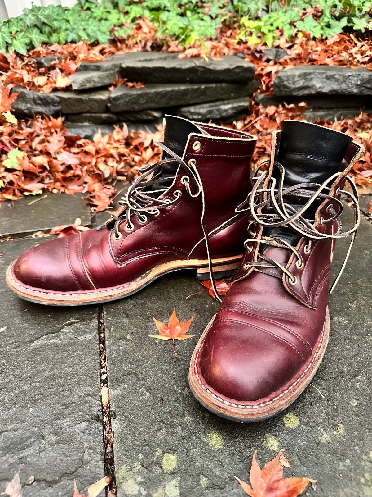 Photo by hunty_badger on December 3, 2023 of the White's MP-Sherman Toe Cap in Horween Burgundy Chromexcel.