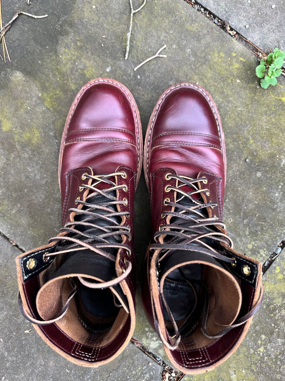 Photo by hunty_badger on March 3, 2024 of the White's MP-Sherman Toe Cap in Horween Burgundy Chromexcel.