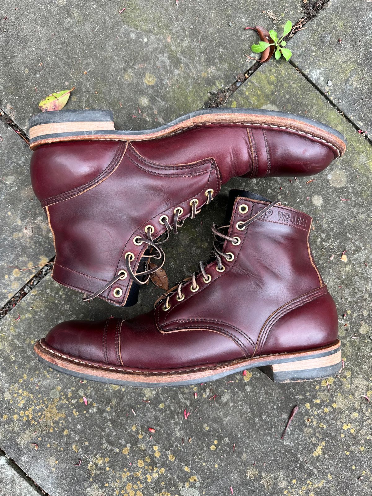 Photo by hunty_badger on April 4, 2024 of the White's MP-Sherman Toe Cap in Horween Burgundy Chromexcel.