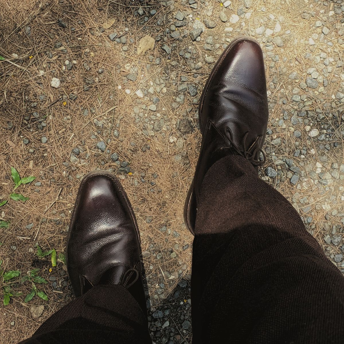 Photo by cheebs on May 17, 2023 of the Meermin Chukka Boot in D'Annonay Dark Brown Alpine Grain Calf.