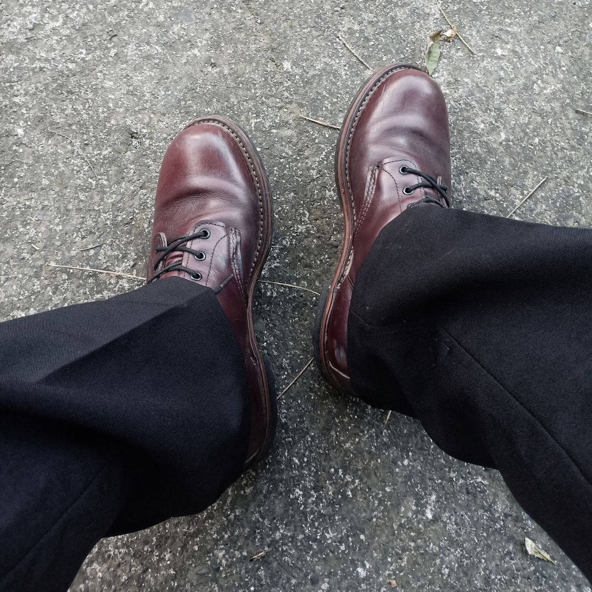 Photo by cheebs on November 22, 2022 of the Red Wing Beckman in S.B. Foot Black Cherry Featherstone.
