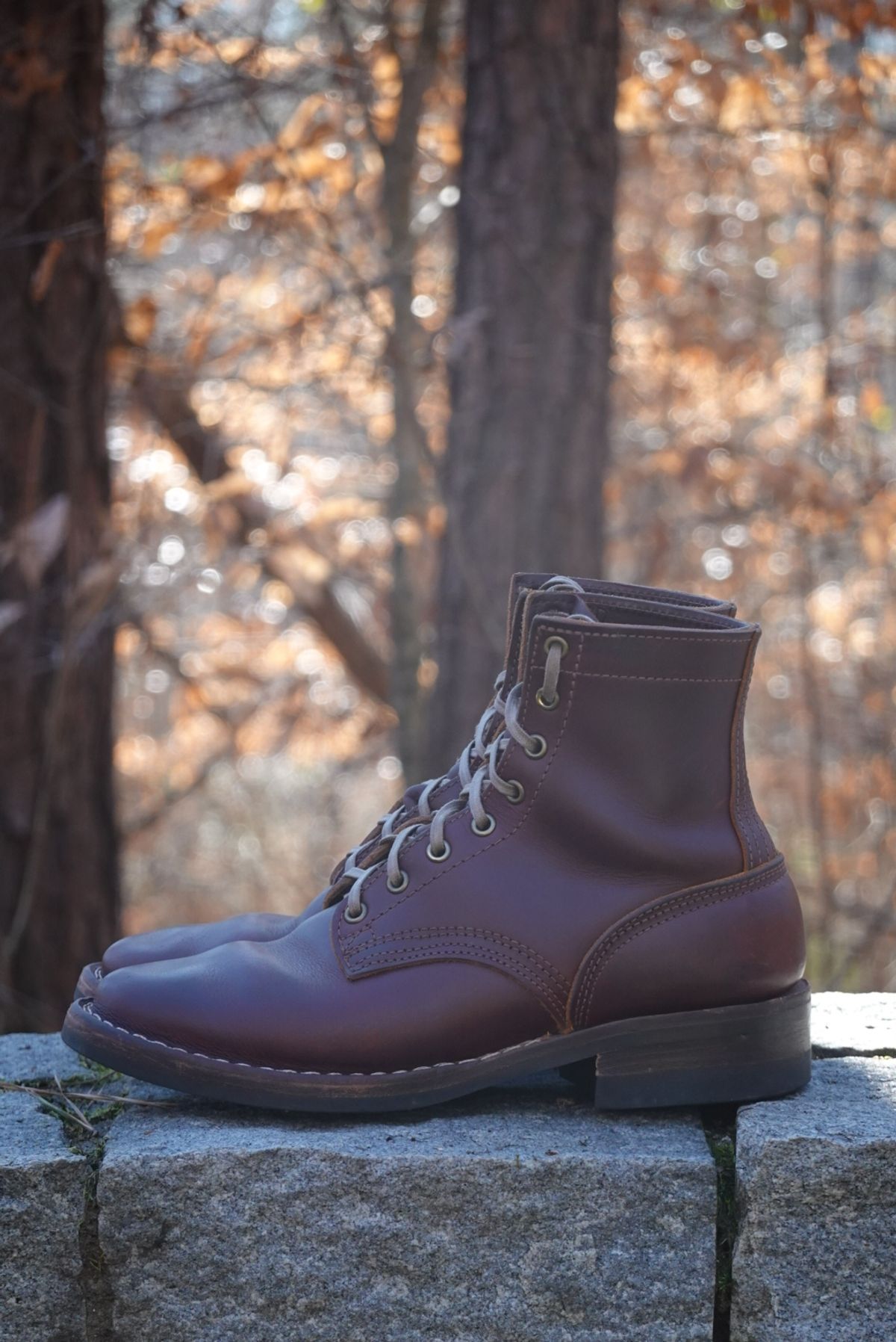 Photo by gertrudes_cat on January 4, 2024 of the Nicks MTO in Wickett & Craig Chestnut Oiled Latigo.