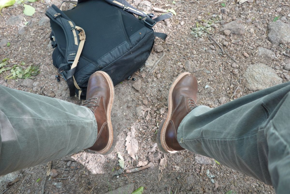Photo by gertrudes_cat on April 23, 2023 of the Oak Street Bootmakers Field Boot in Badalassi Carlo Nemesi Cotto.