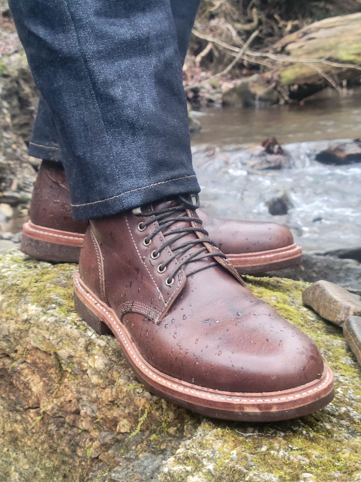 Photo by gertrudes_cat on April 30, 2023 of the Oak Street Bootmakers Field Boot in Badalassi Carlo Nemesi Cotto.