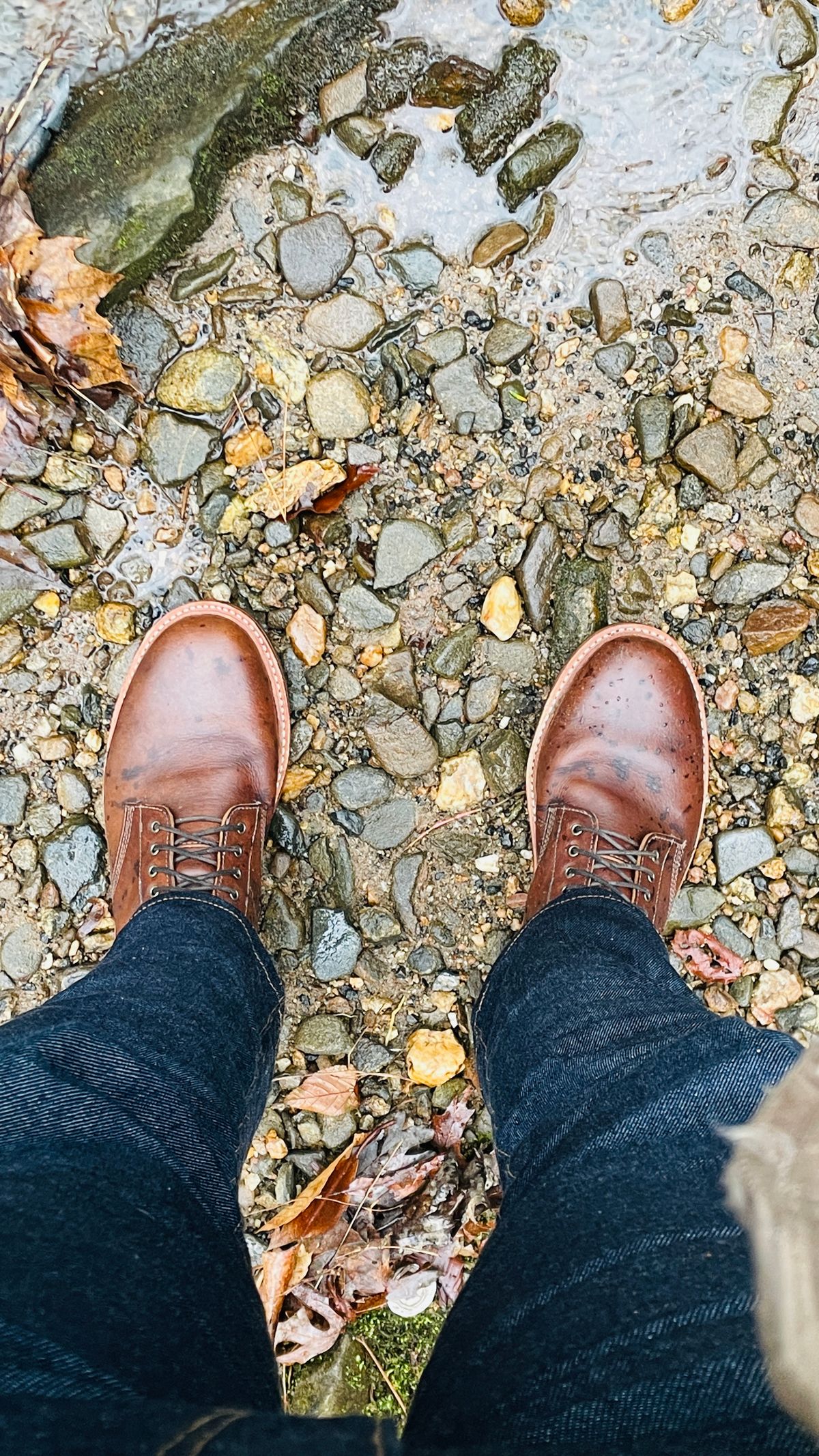 Photo by gertrudes_cat on April 30, 2023 of the Oak Street Bootmakers Field Boot in Badalassi Carlo Nemesi Cotto.