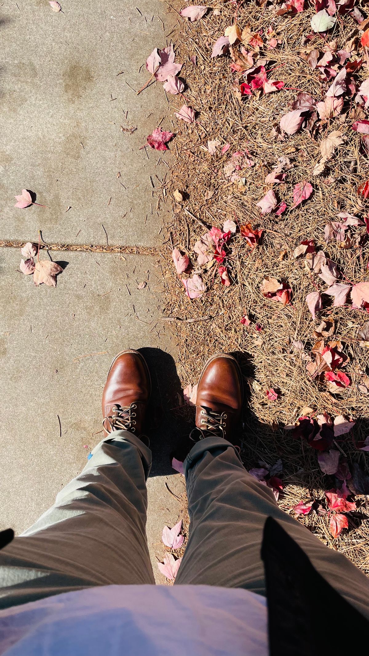 Photo by gertrudes_cat on April 30, 2023 of the Viberg Service Boot in Horween Brown Chromexcel.