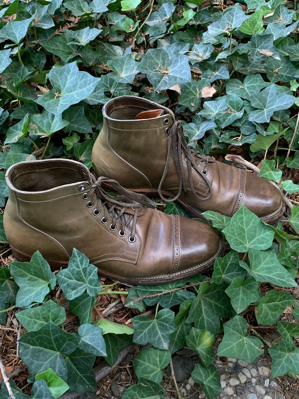 Photo by madeofbirds on November 4, 2023 of the Viberg Service Boot BCT in Maryam Salvia Horsebutt.