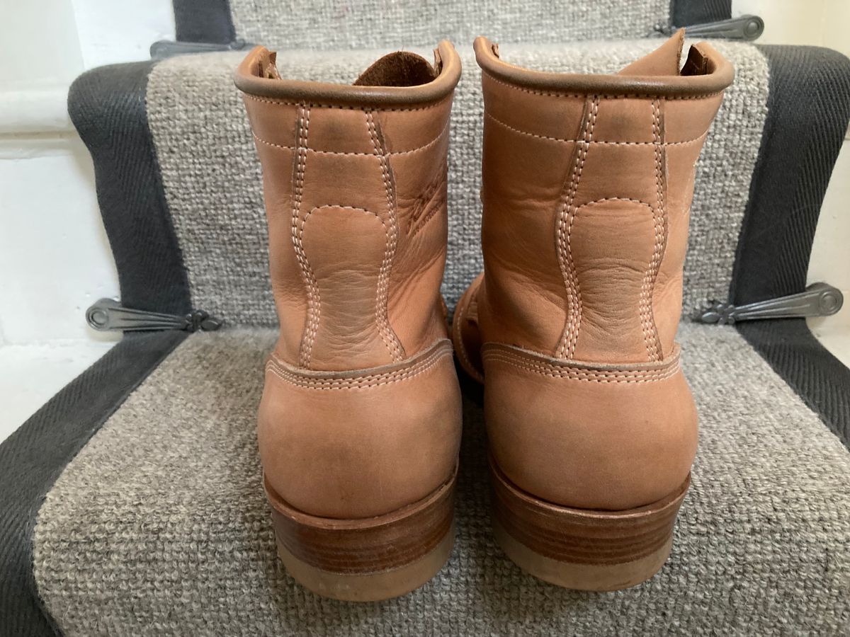 Photo by Siany123 on November 5, 2023 of the Role Club Underdogs in Horween Natural Essex.