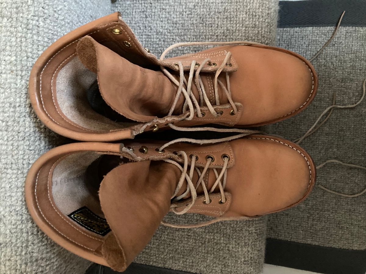 Photo by Siany123 on November 5, 2023 of the Role Club Underdogs in Horween Natural Essex.