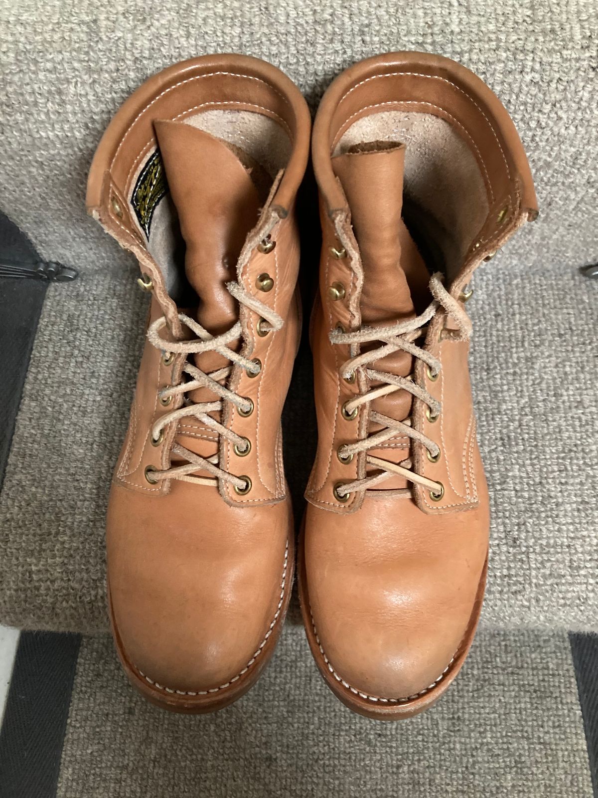 Photo by Siany123 on December 5, 2023 of the Role Club Underdogs in Horween Natural Essex.