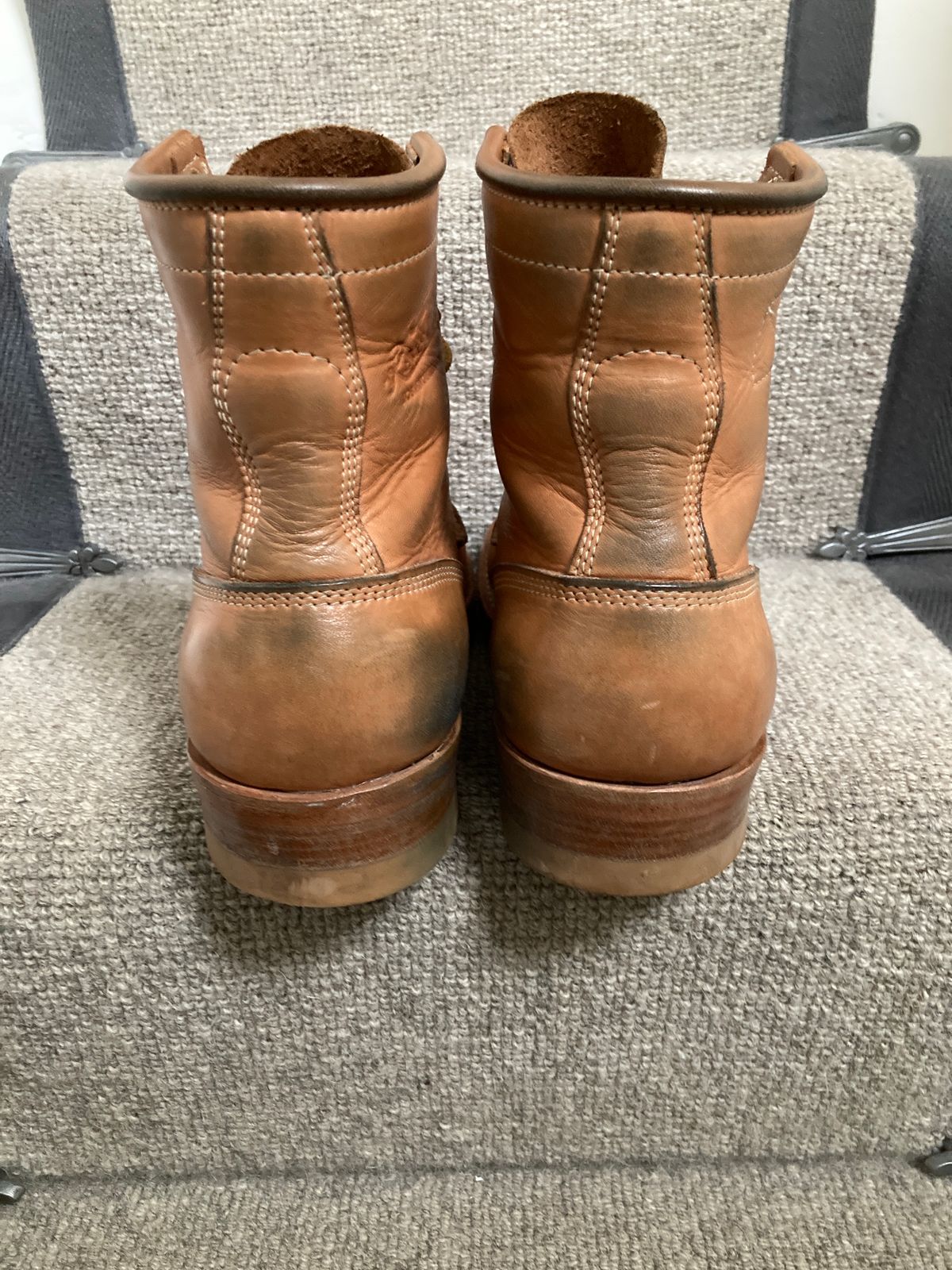 Photo by Siany123 on February 3, 2024 of the Role Club Underdogs in Horween Natural Essex.