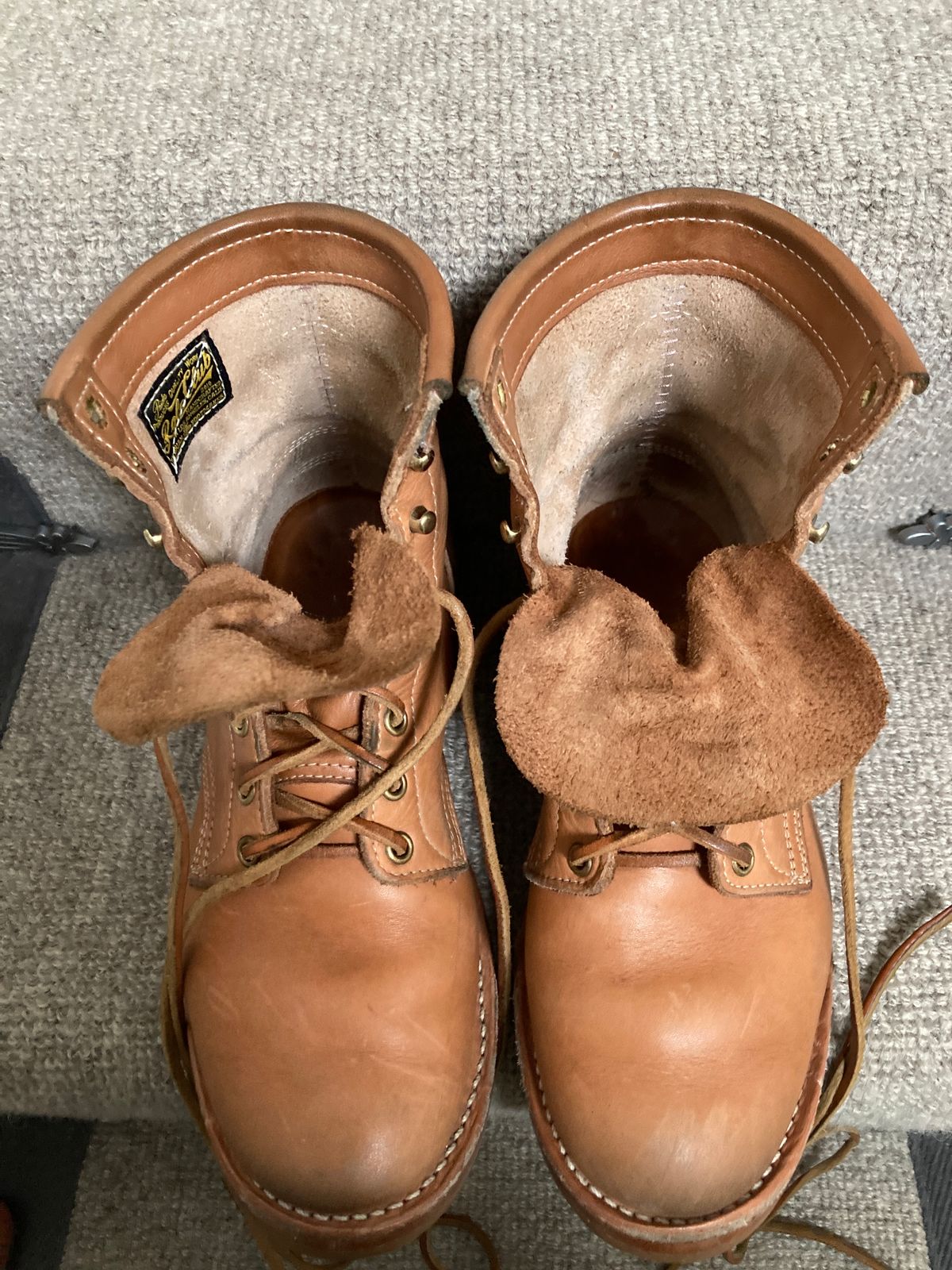 Photo by Siany123 on February 3, 2024 of the Role Club Underdogs in Horween Natural Essex.