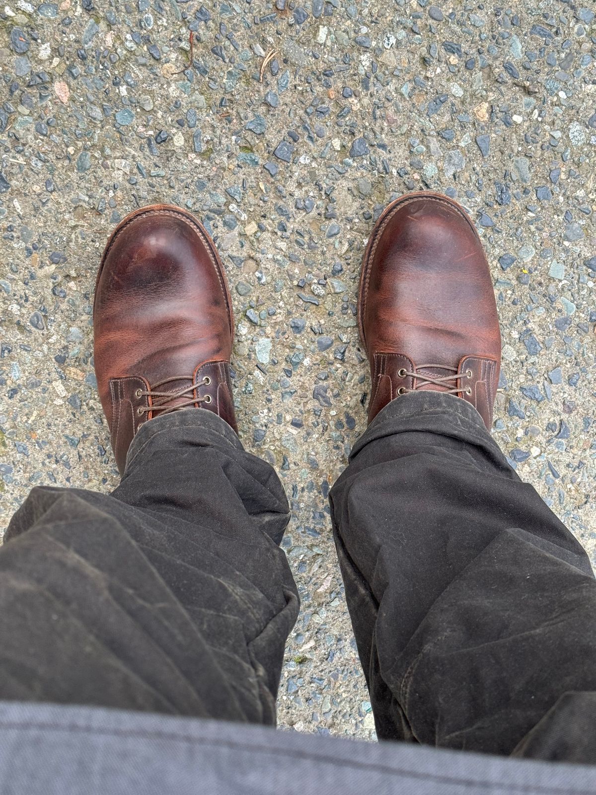 Photo by LewJay on January 7, 2024 of the Viberg Service Boot in C.F. Stead Whiskey Phoenix.