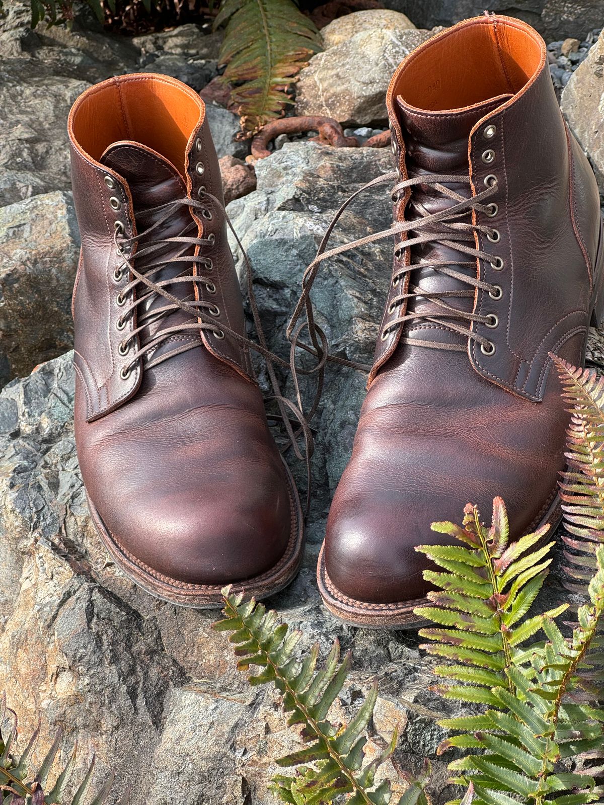 Photo by LewJay on March 30, 2024 of the Viberg Service Boot in C.F. Stead Whiskey Phoenix.