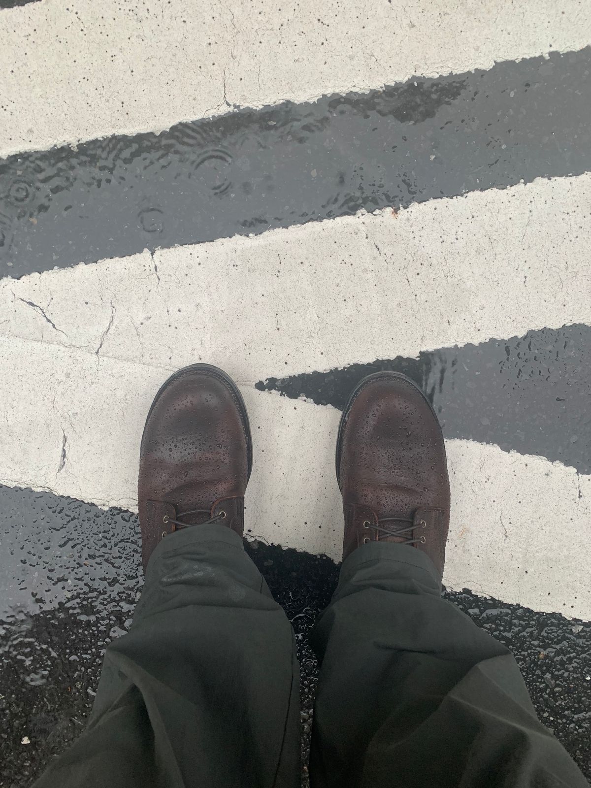 Photo by LewJay on October 15, 2023 of the Viberg Service Boot in C.F. Stead Whiskey Phoenix.