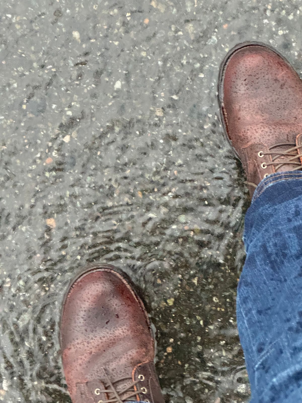 Photo by LewJay on December 4, 2023 of the Viberg Service Boot in C.F. Stead Whiskey Phoenix.