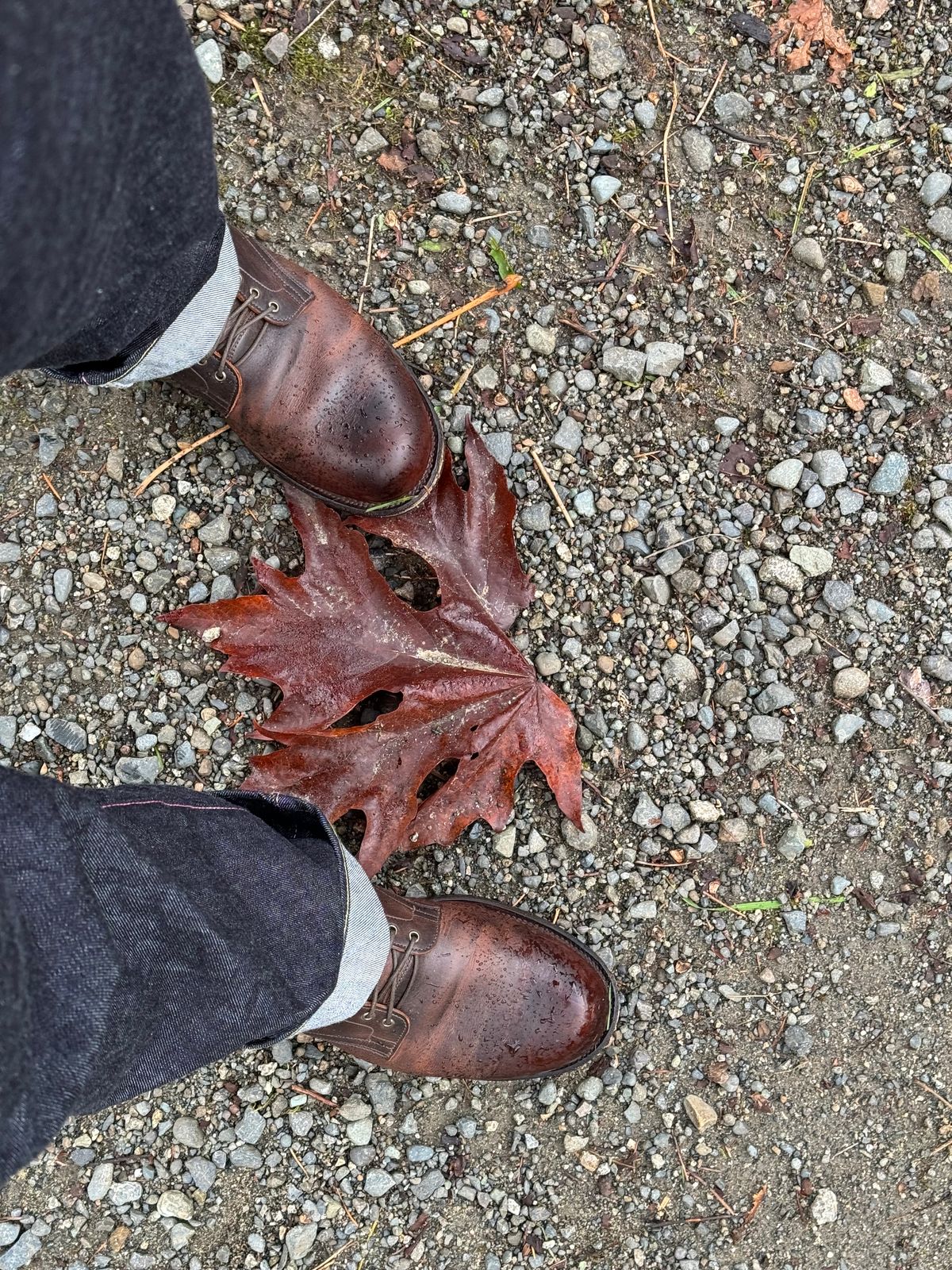 Photo by LewJay on December 7, 2023 of the Viberg Service Boot in C.F. Stead Whiskey Phoenix.