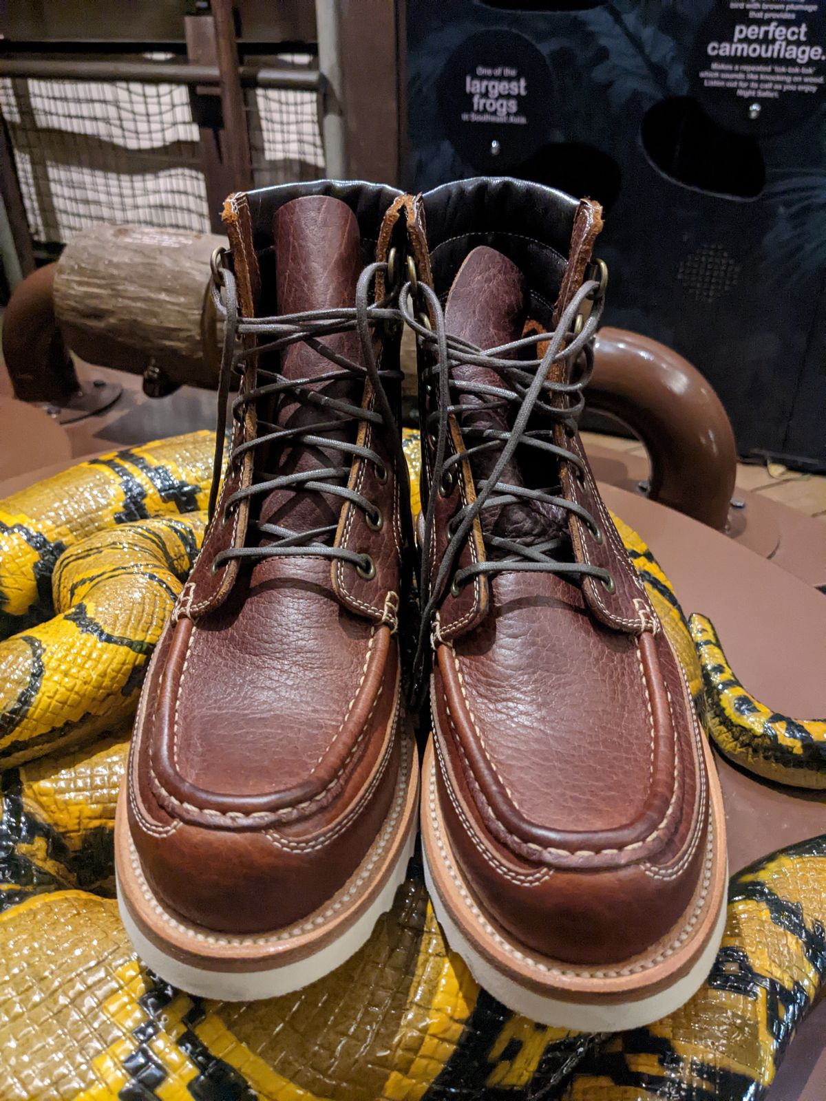 Photo by TiffTV on November 2, 2022 of the Grant Stone Field Boot in Seidel Walnut Bison.