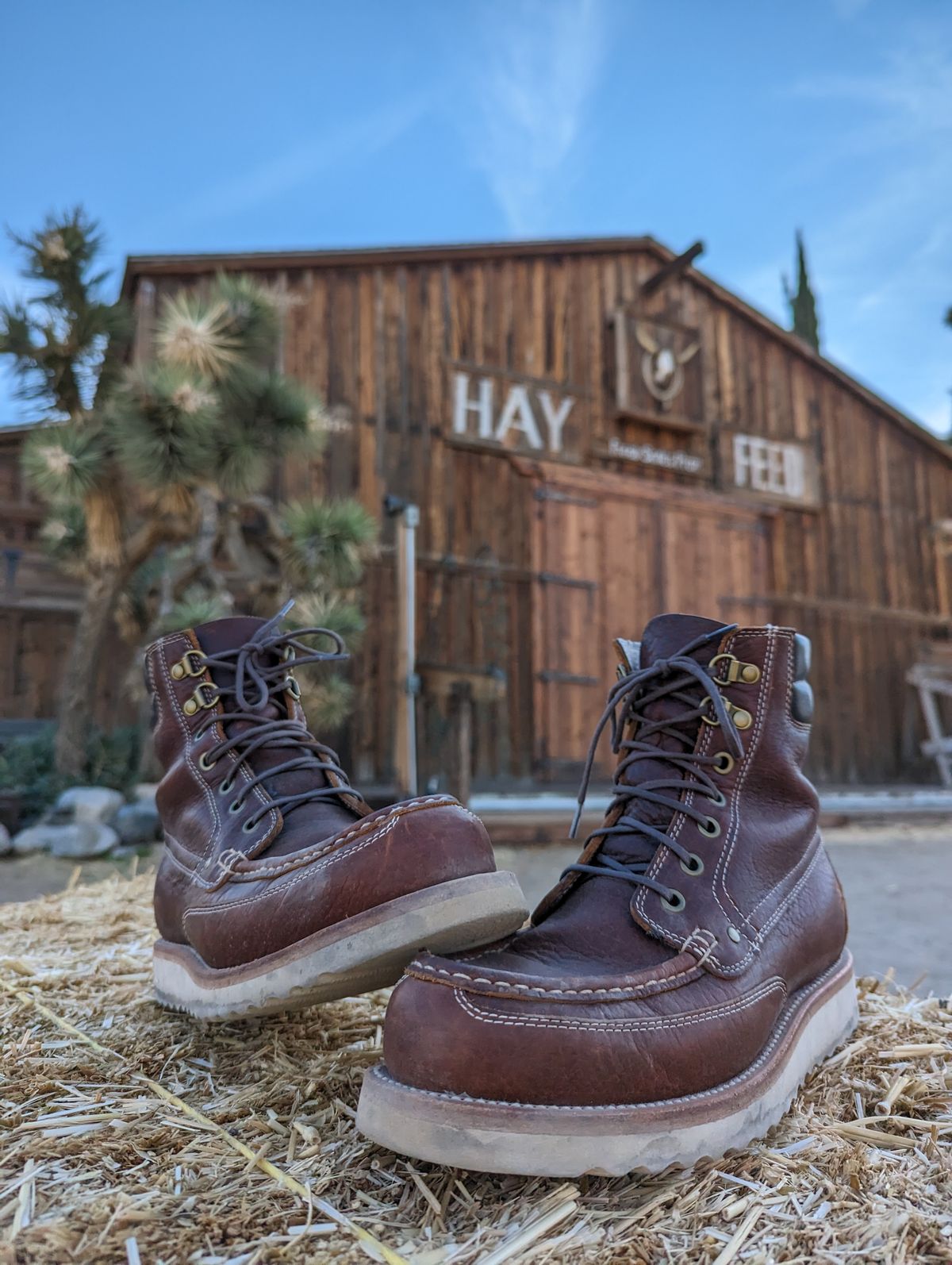 Photo by TiffTV on December 3, 2022 of the Grant Stone Field Boot in Seidel Walnut Bison.