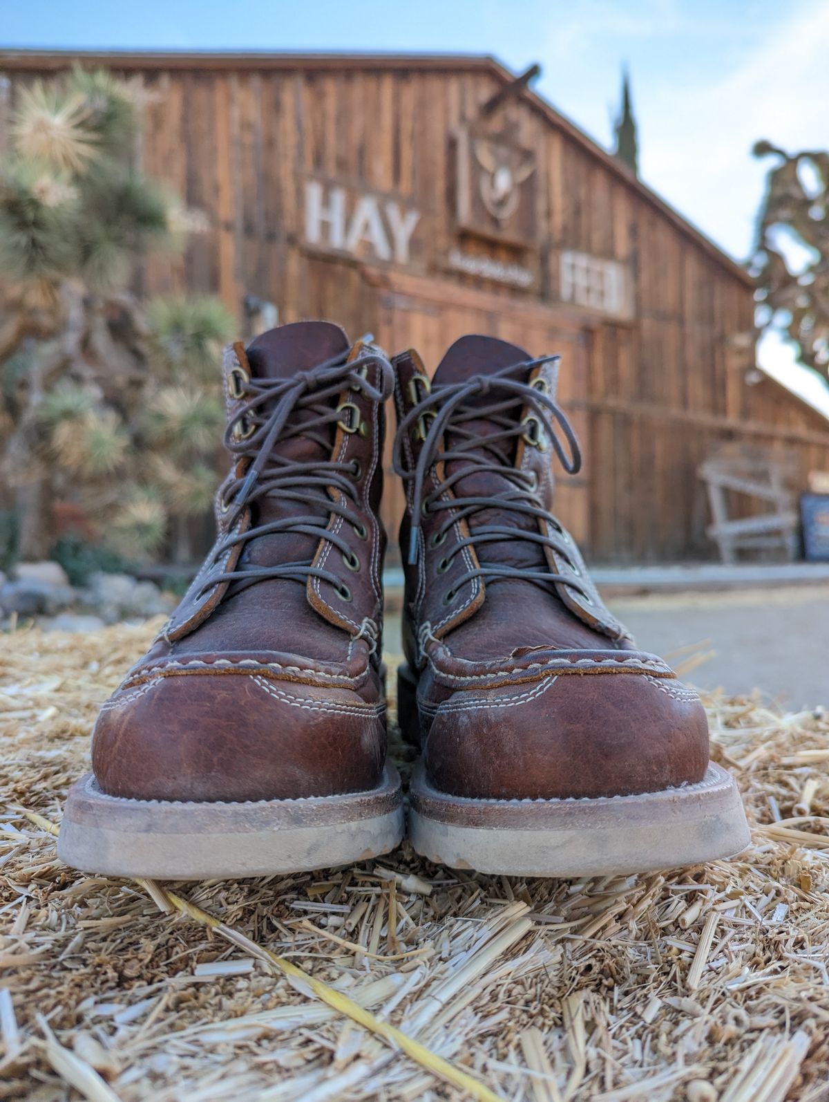 Photo by TiffTV on December 3, 2022 of the Grant Stone Field Boot in Seidel Walnut Bison.