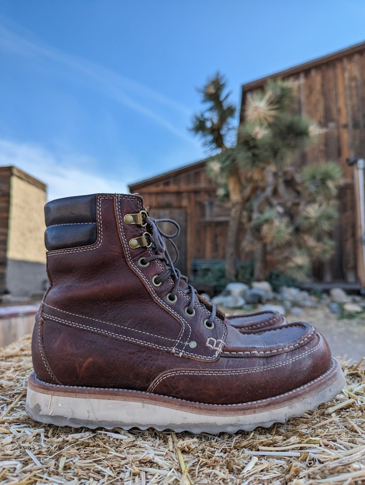 Photo by TiffTV on December 3, 2022 of the Grant Stone Field Boot in Seidel Walnut Bison.