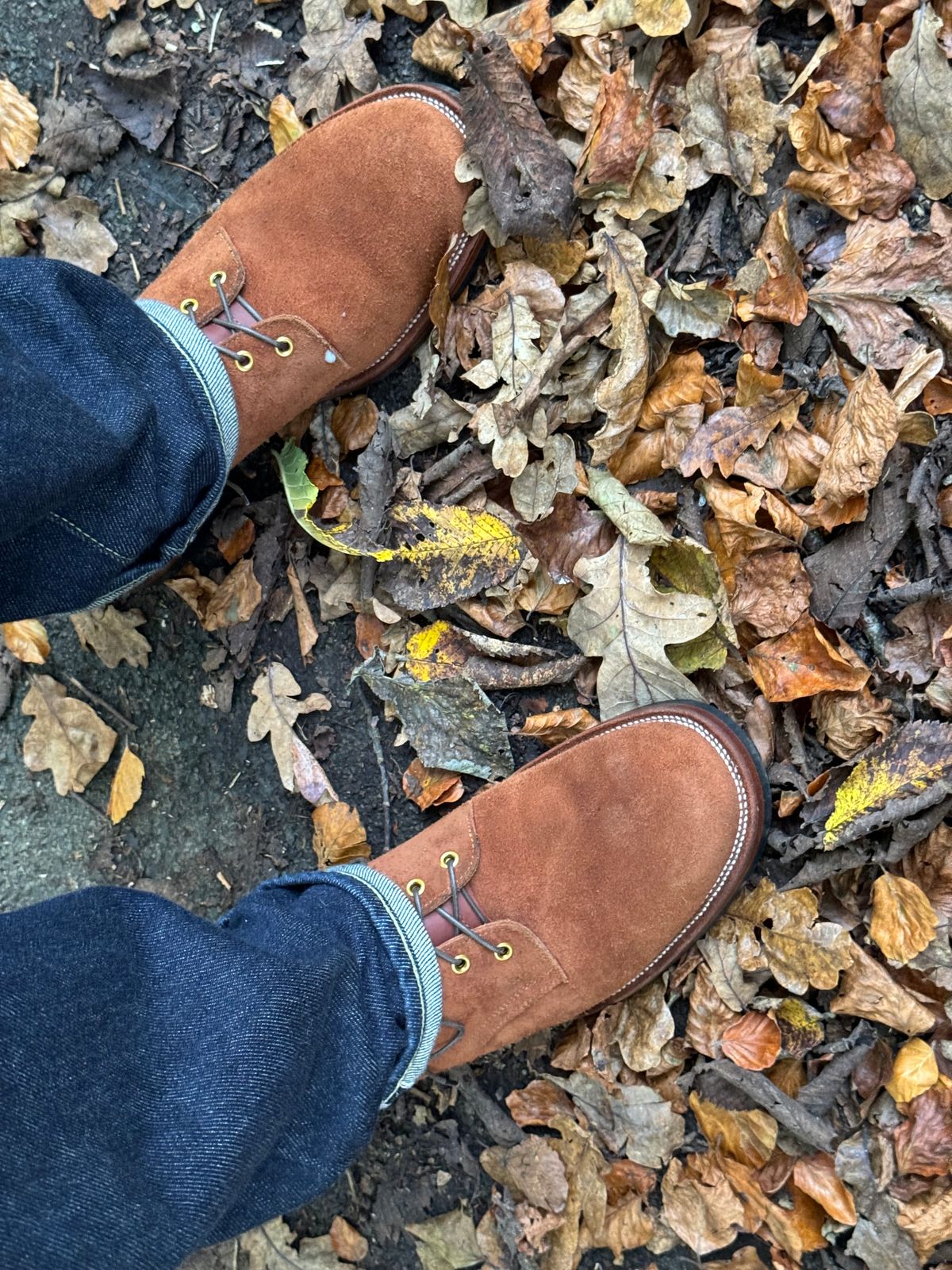 Photo by init on November 3, 2024 of the Iron Boots The Chosen One in S.B. Foot Dune Roughout Suede.