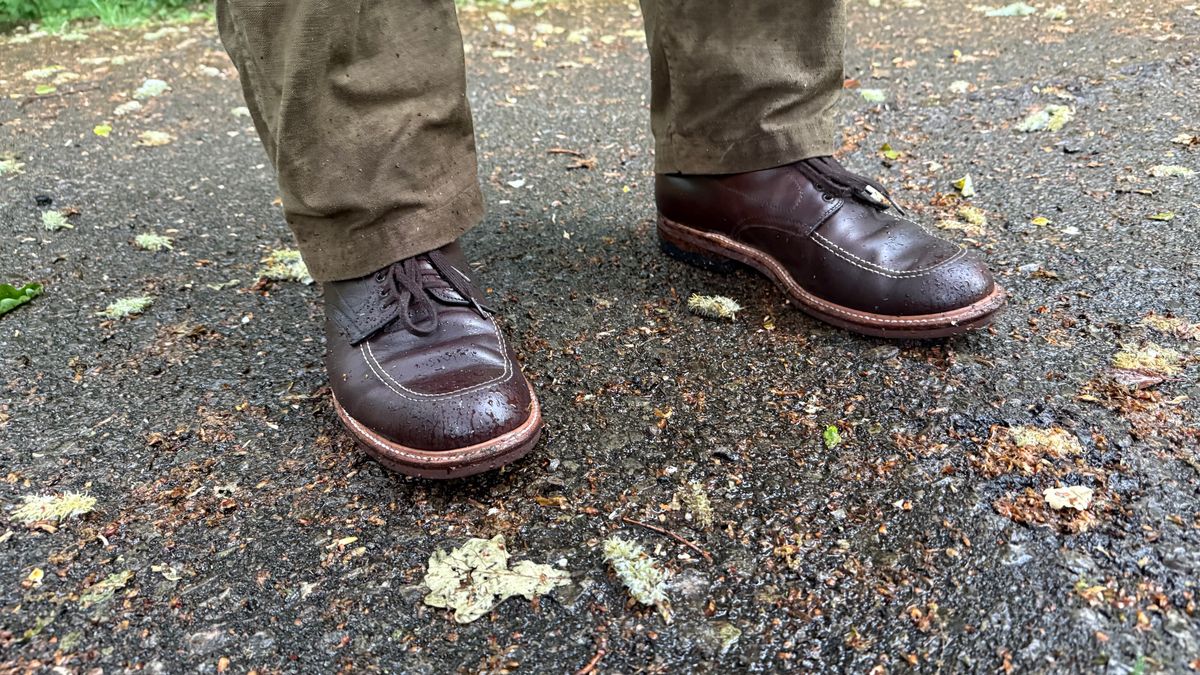 Photo by init on May 13, 2025 of the Alden Indy Boot in Horween Brown Chromexcel.