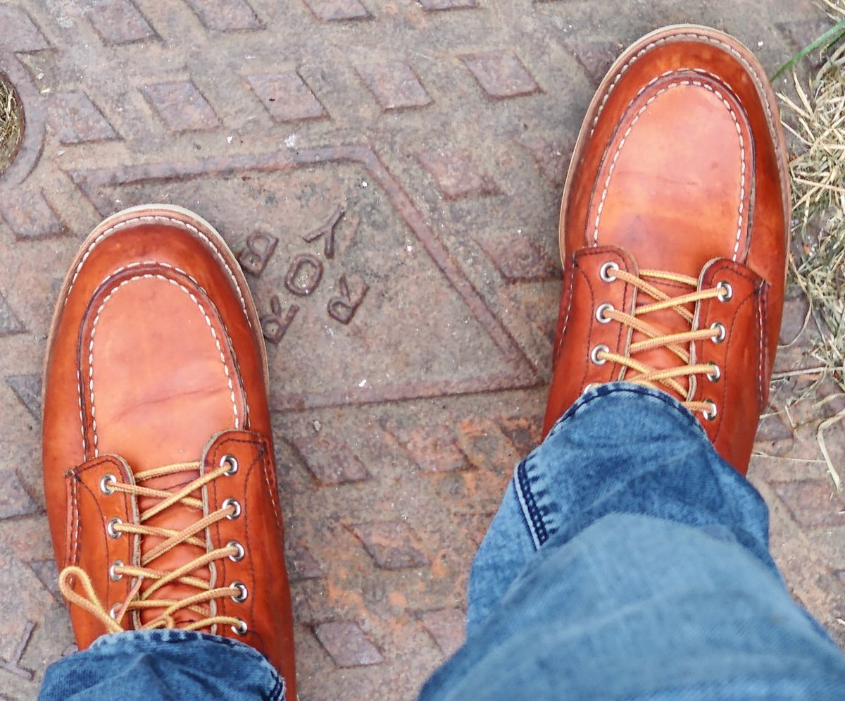 Photo by init on May 15, 2022 of the Red Wing 6-Inch Classic Moc in S.B. Foot Oro Legacy.