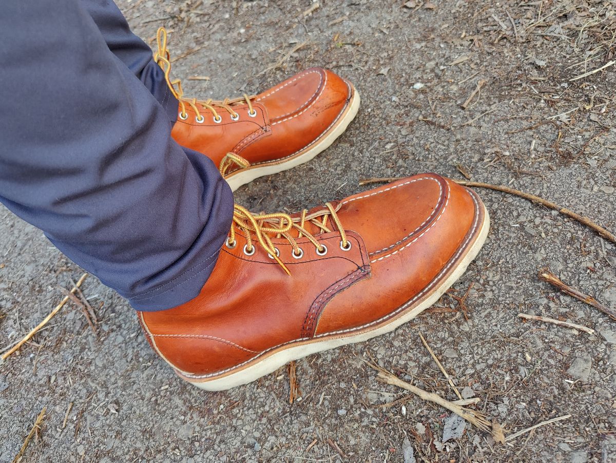 Photo by init on March 22, 2022 of the Red Wing 6-Inch Classic Moc in S.B. Foot Oro Legacy.