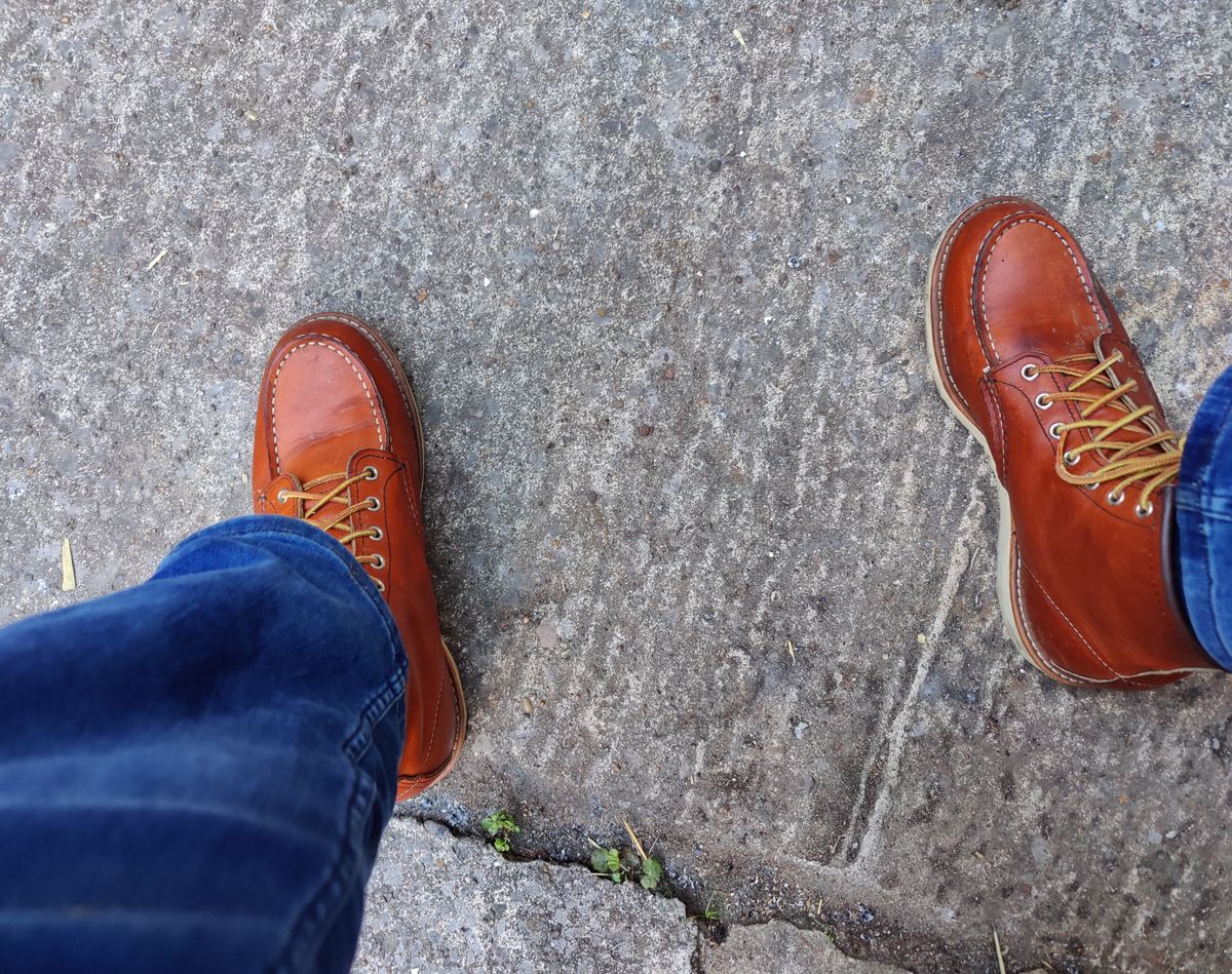 Photo by init on June 15, 2022 of the Red Wing 6-Inch Classic Moc in S.B. Foot Oro Legacy.