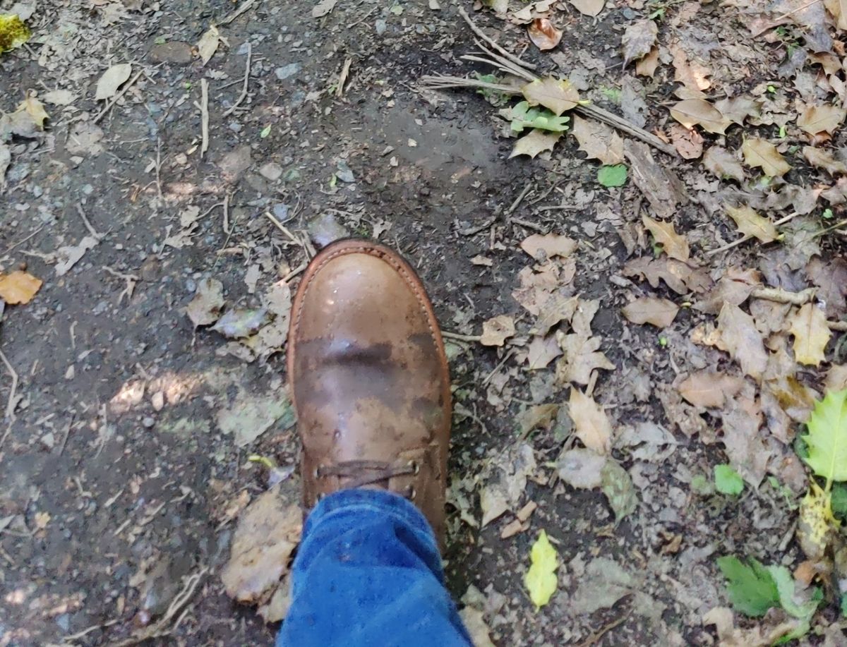 Photo by init on June 14, 2022 of the Oak Street Bootmakers Trench Boot in Horween Natural Waxed Flesh.