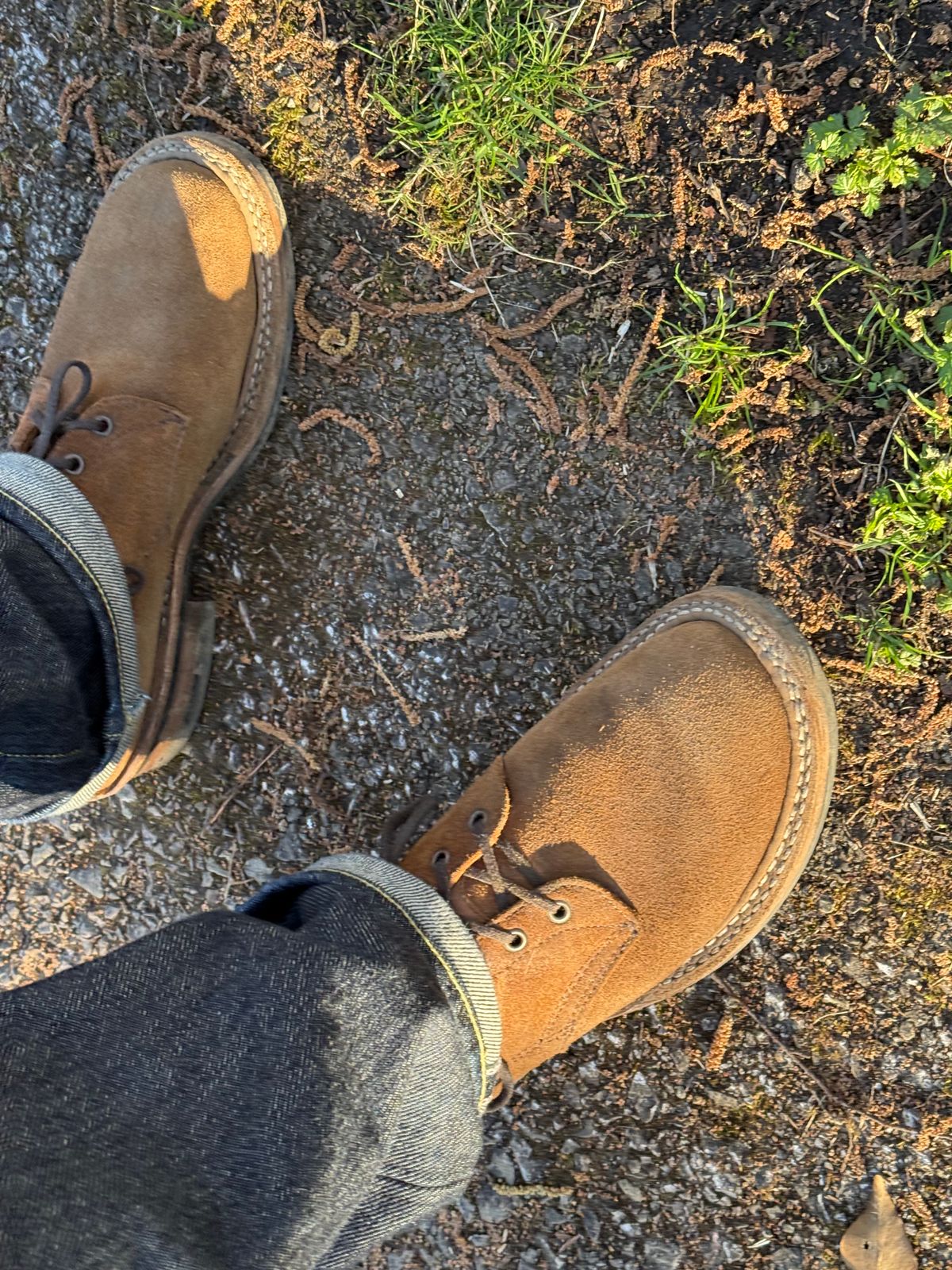 Photo by init on April 1, 2025 of the White's Semi-Dress in Seidel Distressed Roughout.