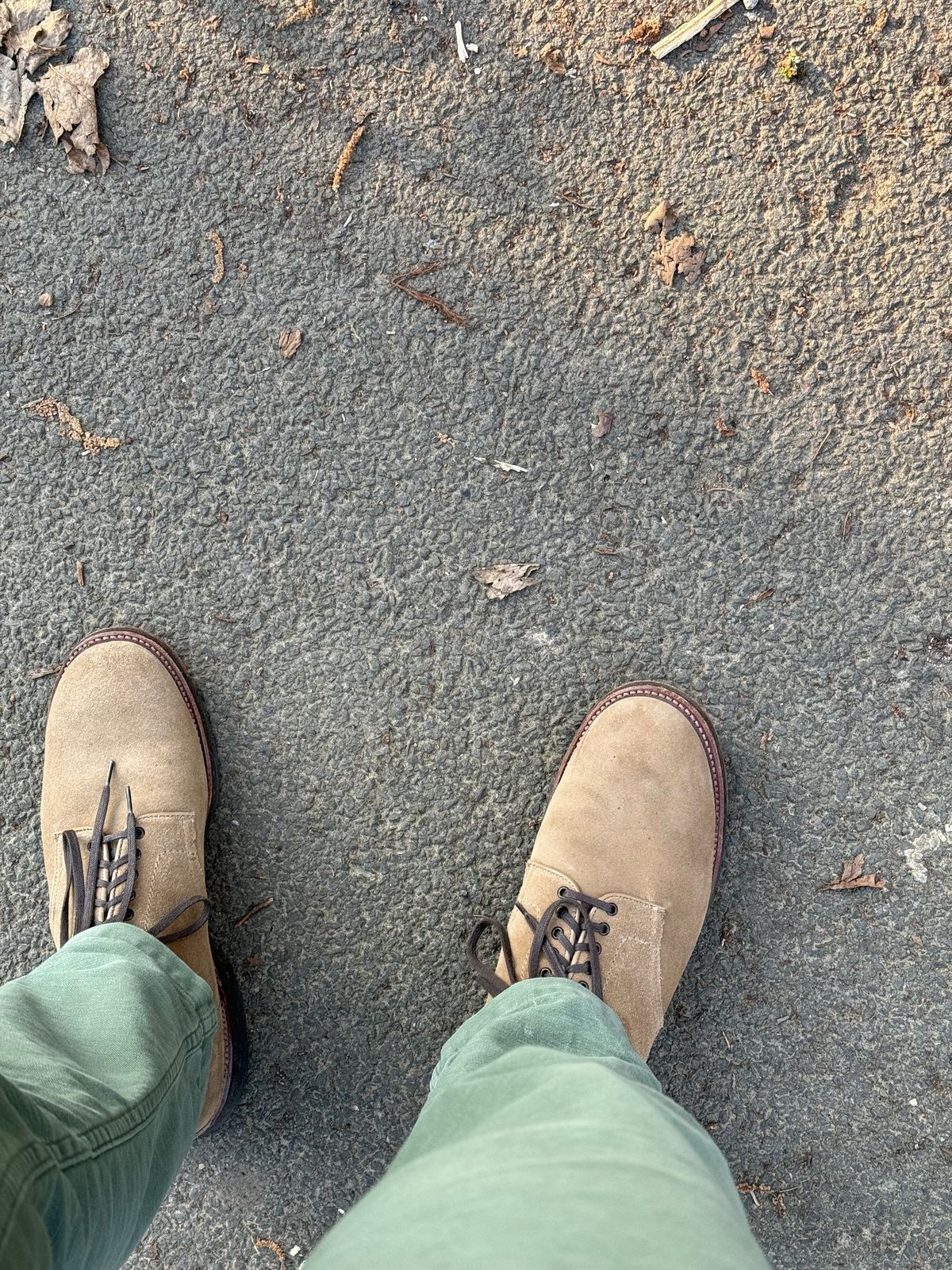 Photo by init on March 26, 2025 of the Alden Plain Toe Boot in Tan Suede.
