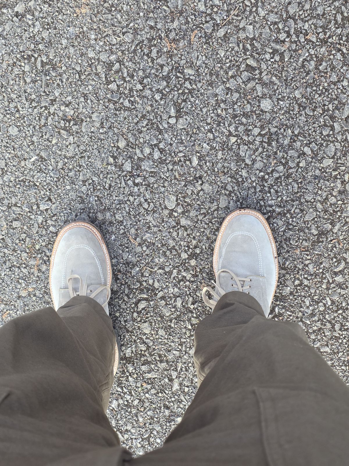 Photo by init on March 24, 2025 of the Alden Indy Boot in C.F. Stead Milkshake Desert Oasis Suede.