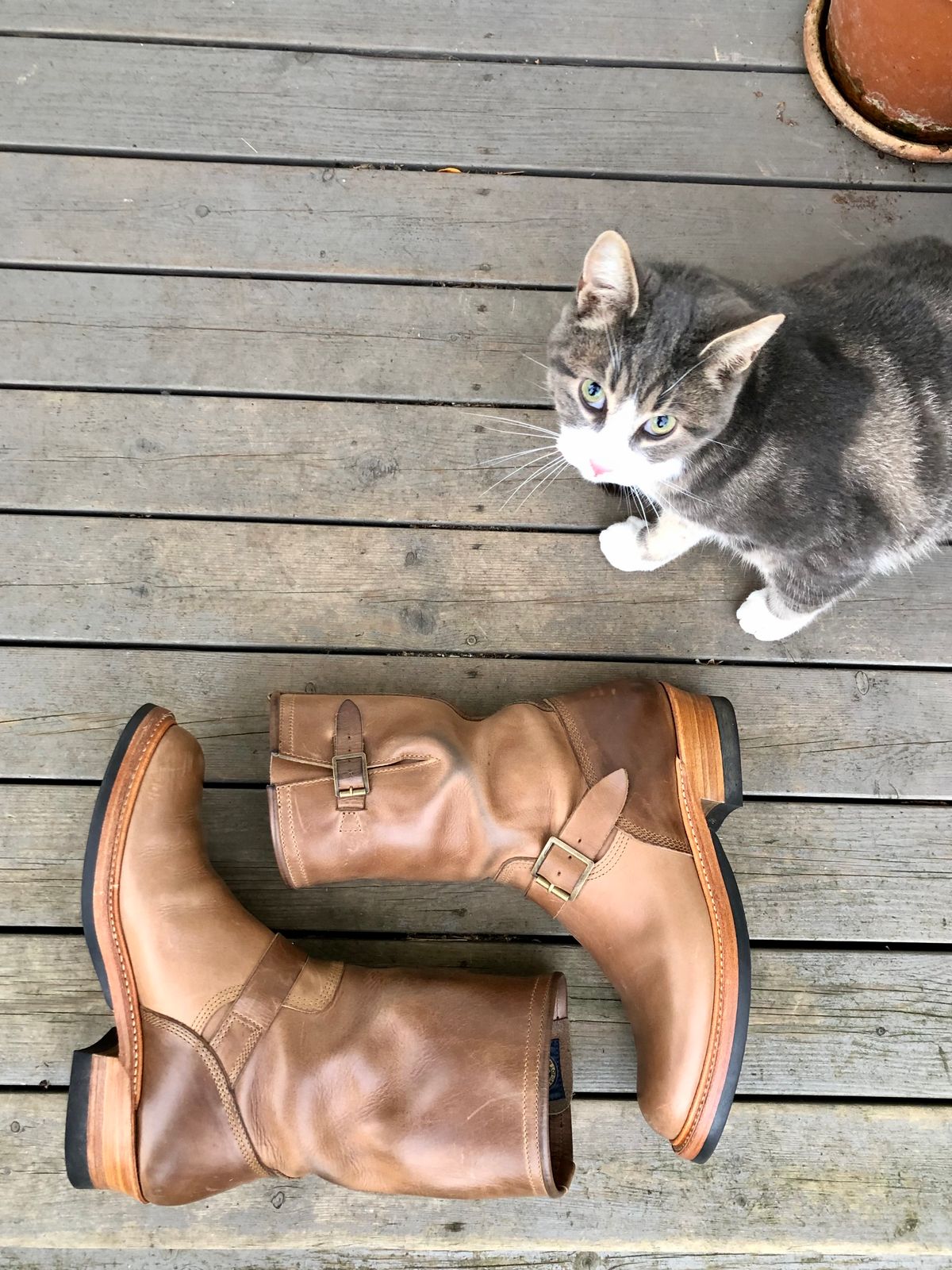 Photo by rarum2 on December 1, 2022 of the John Lofgren Wabash Engineer Boots in Horween Natural Chromexcel.