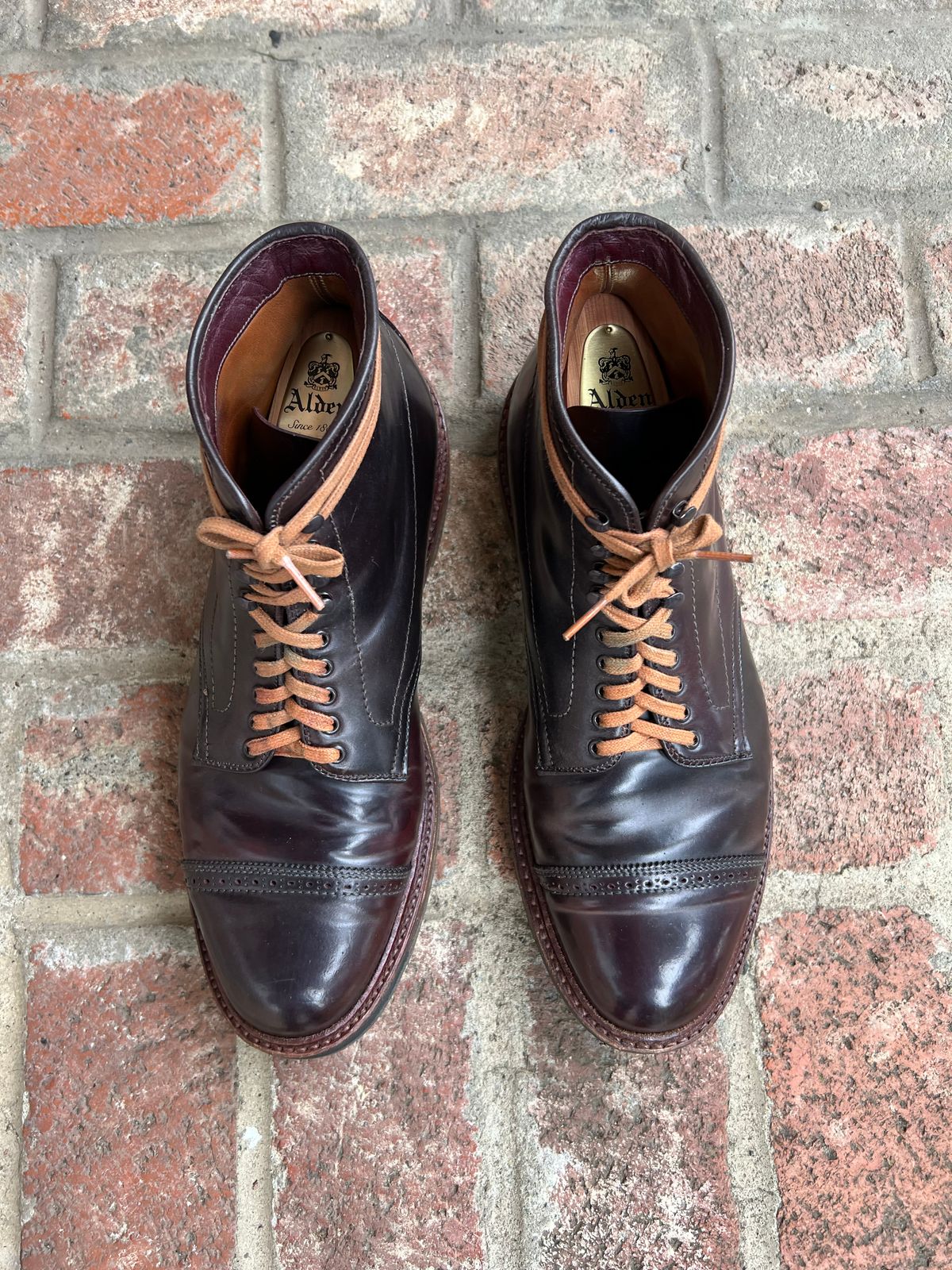 Photo by kspolini on December 4, 2022 of the Alden Perforated Cap Toe Boot in Horween Color 8 Shell Cordovan.