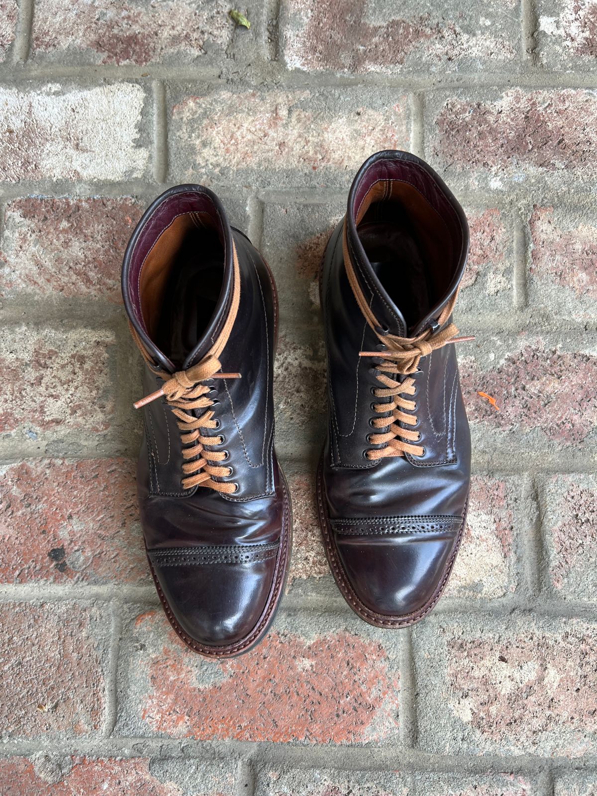 Photo by kspolini on February 3, 2023 of the Alden Perforated Cap Toe Boot in Horween Color 8 Shell Cordovan.