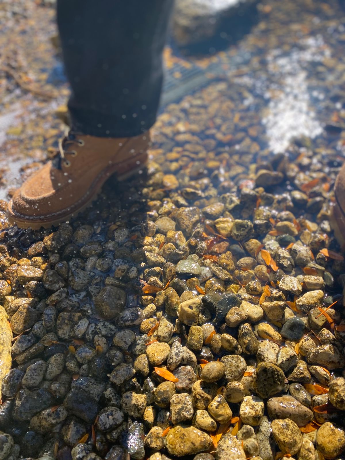 Photo by bootbeater on October 10, 2023 of the Nicks DomePro in Seidel 1964 Tan Roughout.