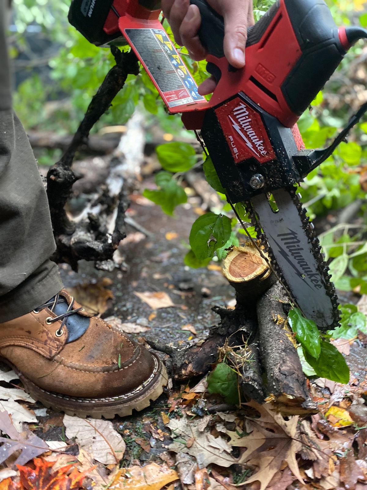 Photo by bootbeater on October 27, 2023 of the Nicks DomePro in Seidel 1964 Tan Roughout.