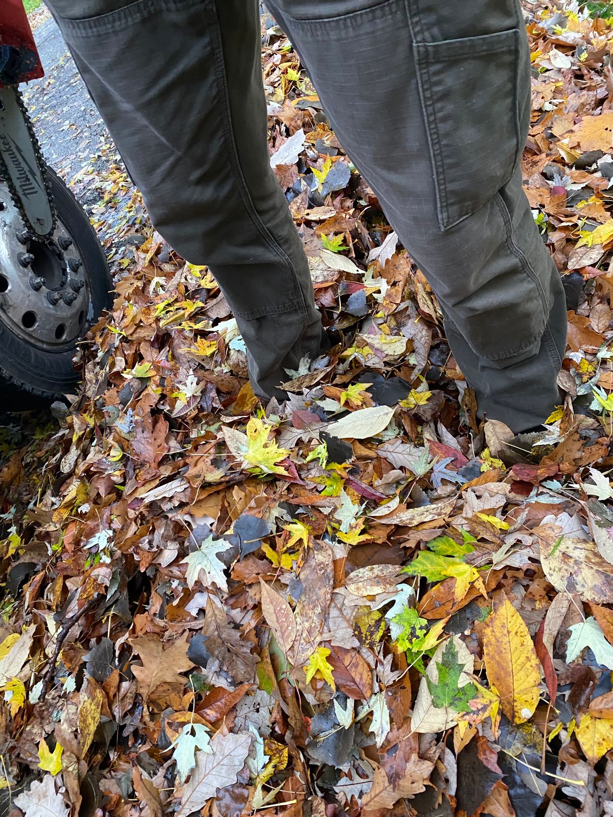 Photo by bootbeater on October 27, 2023 of the Nicks DomePro in Seidel 1964 Tan Roughout.
