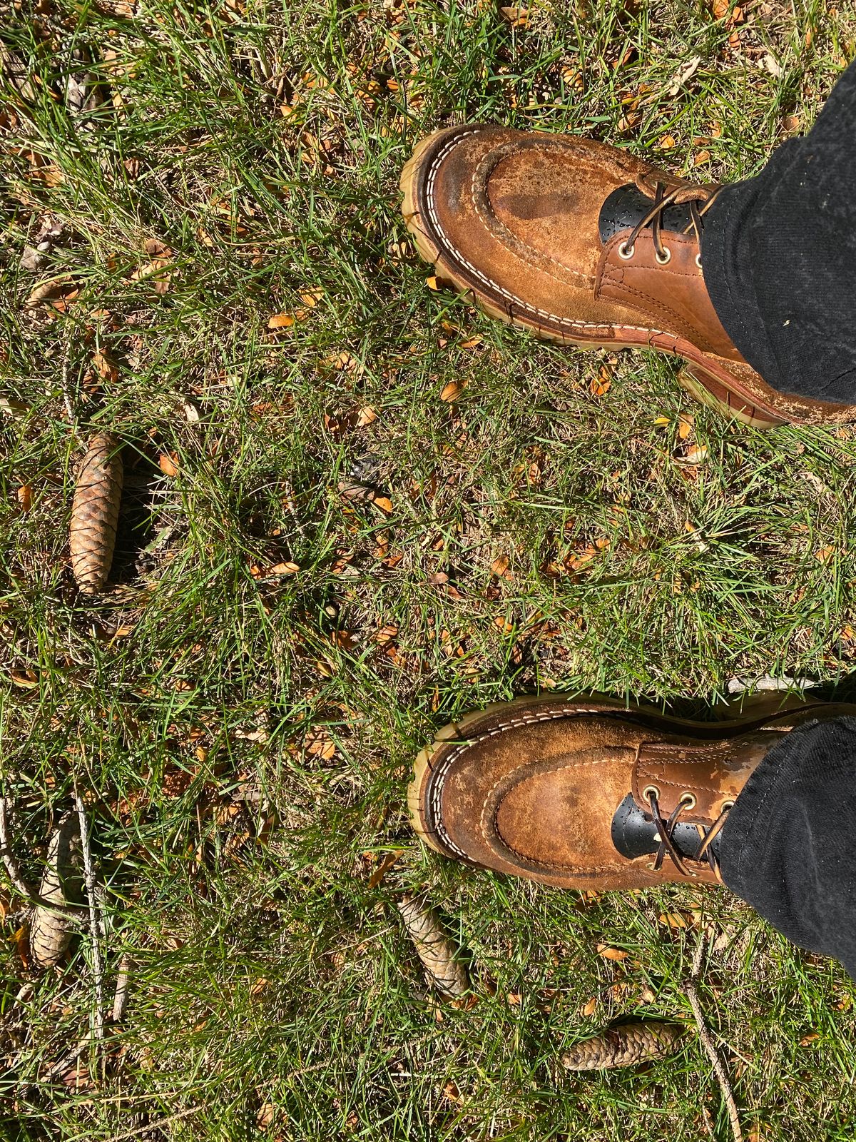 Photo by bootbeater on October 17, 2023 of the Nicks DomePro in Seidel 1964 Tan Roughout.